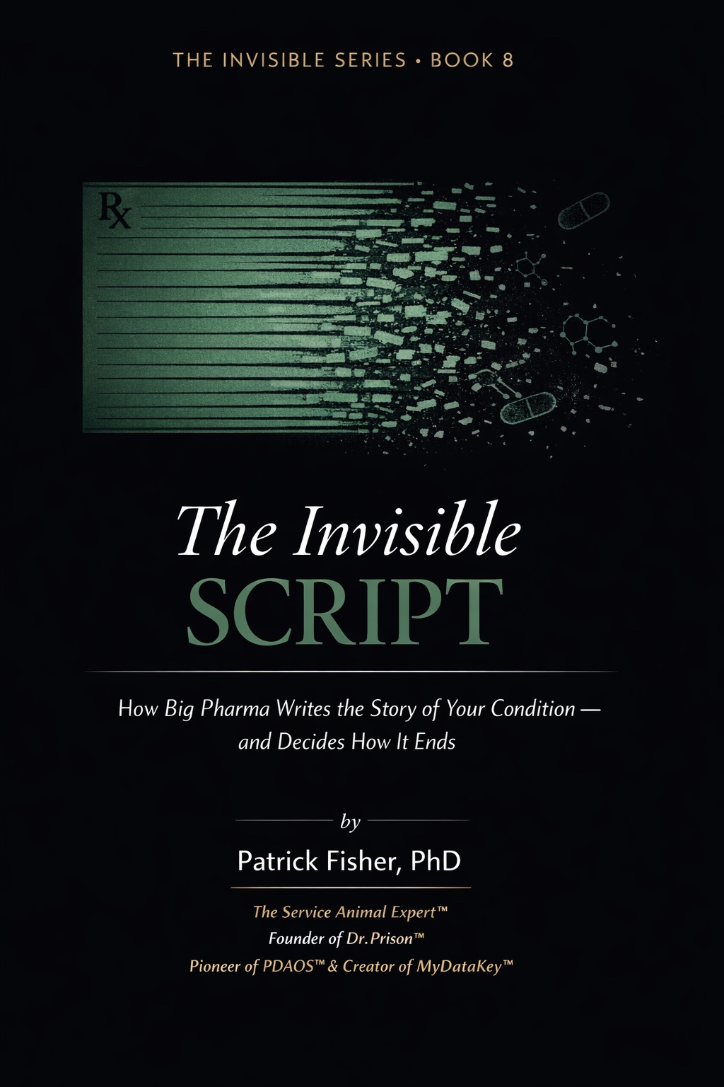 The Invisible Script cover